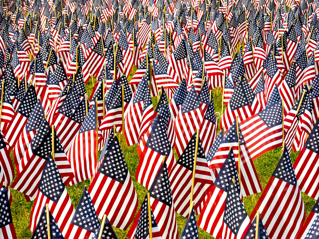Memorial Day Flags, Boston Common