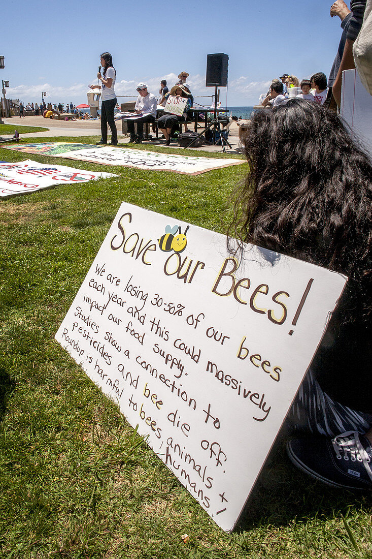 Save our Bees Sign, GMO Demonstration