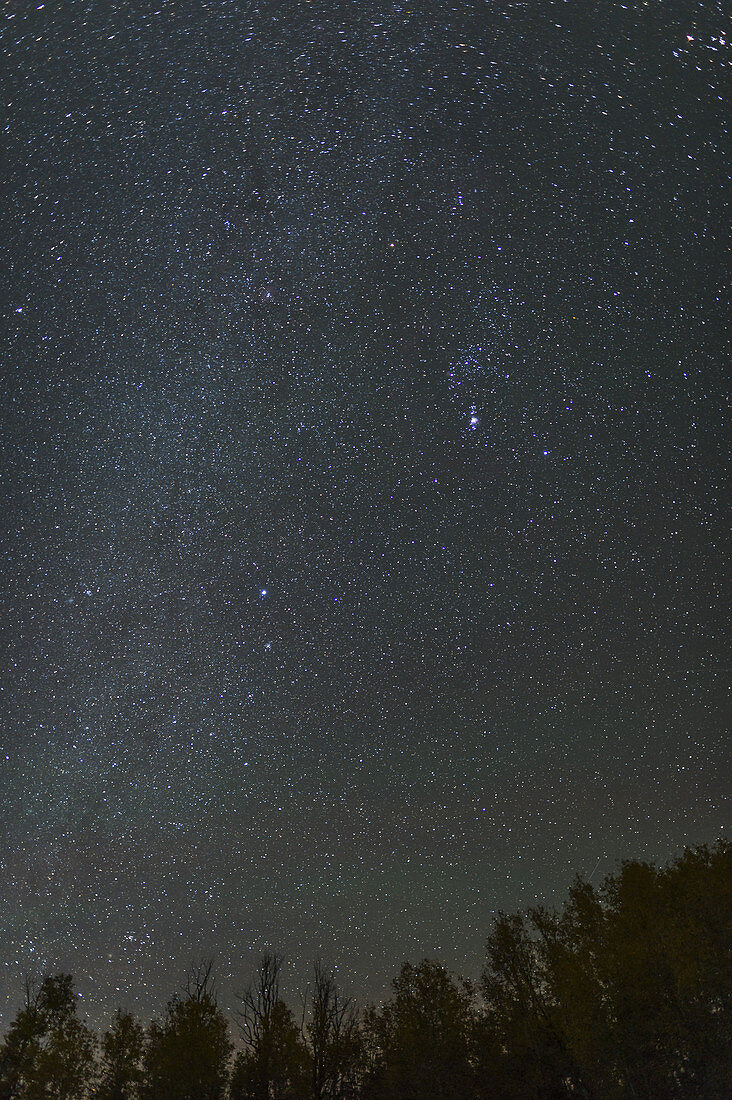 Night Sky from Boulder Mountain, Utah