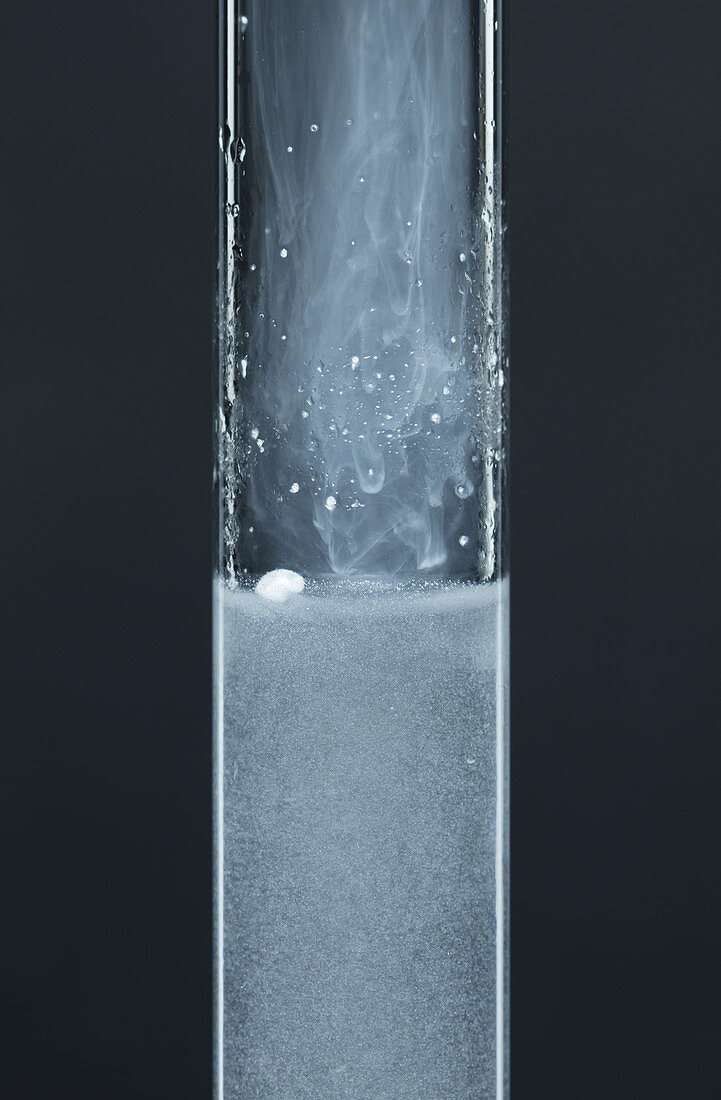 Sodium Reacts with Water