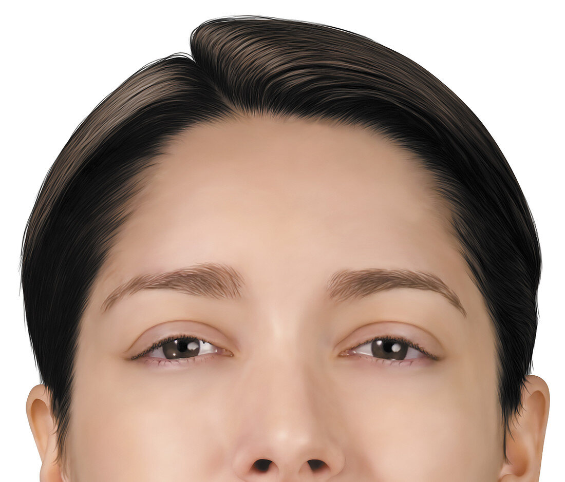 Female face, illustration