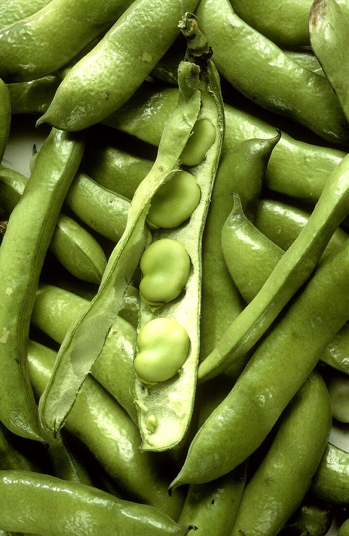 Several Pea Pods; One Split Open to Show Peas
