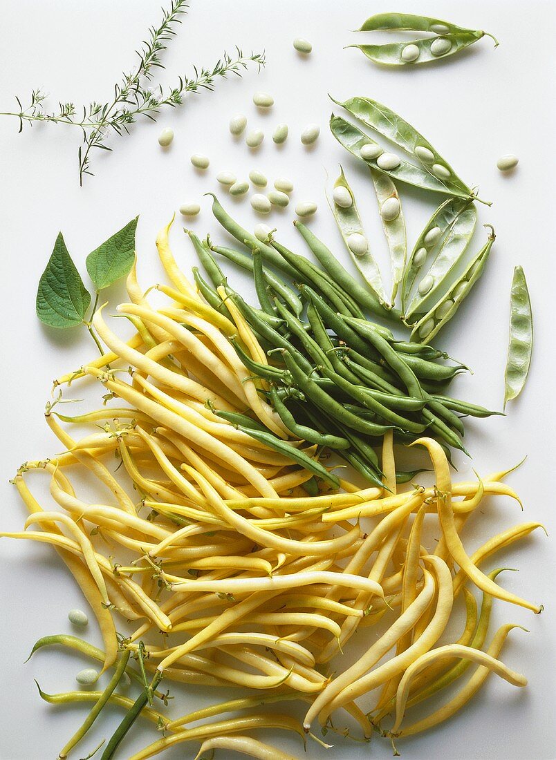Several Wax Beans and Green Beans
