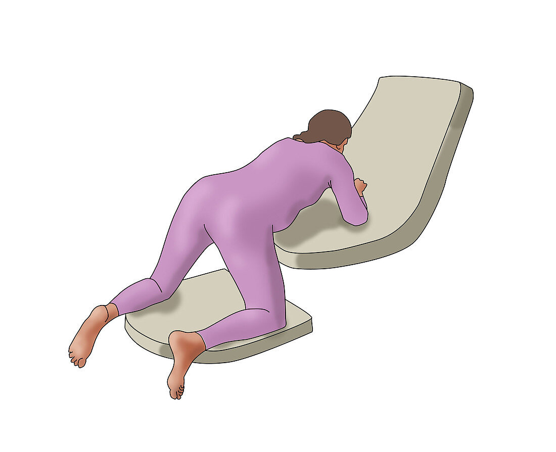 All Fours Birthing Position, illustration