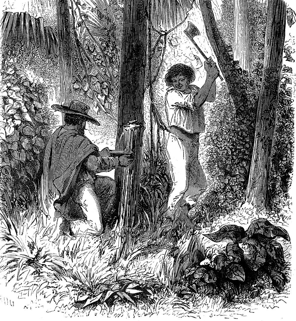 Rubber industry in the Amazon, 19th century