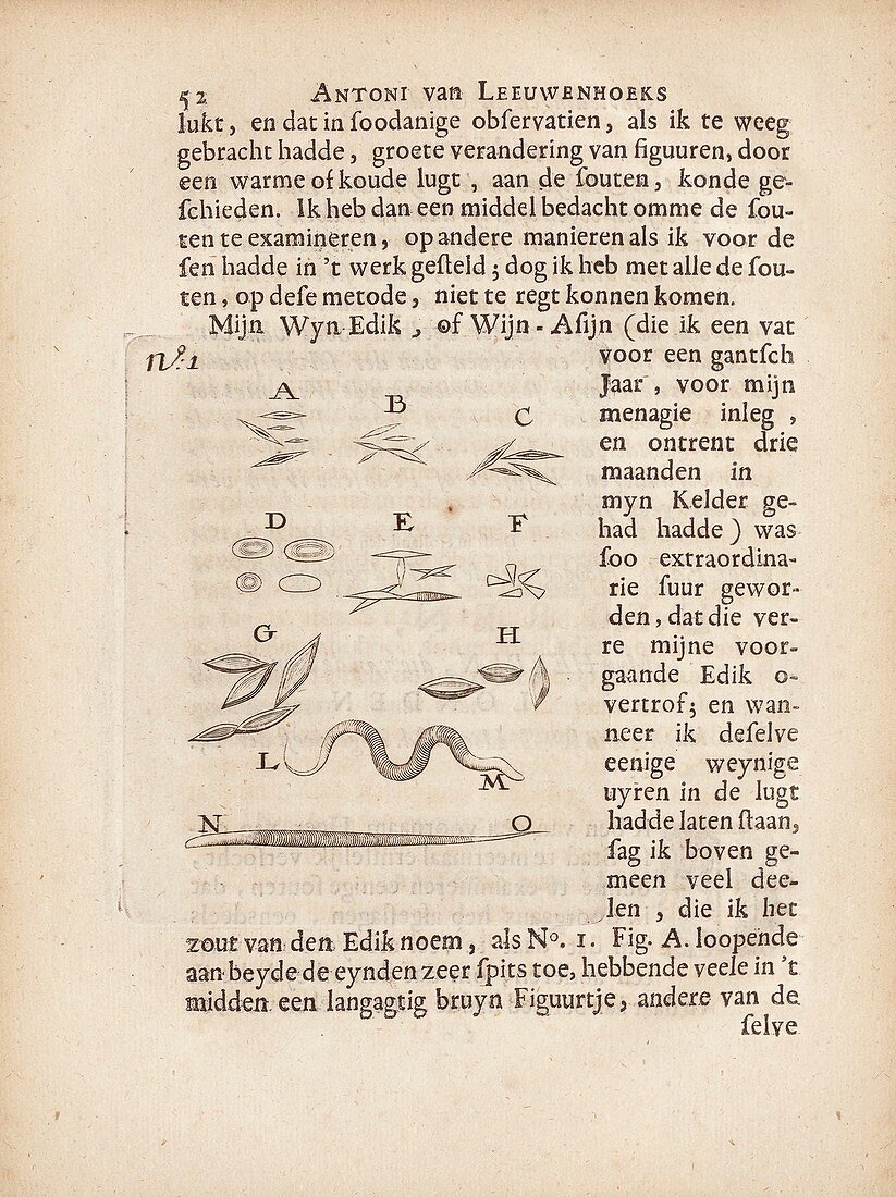 Crystals and vinegar eels by van Leeuwenhoek, 1685