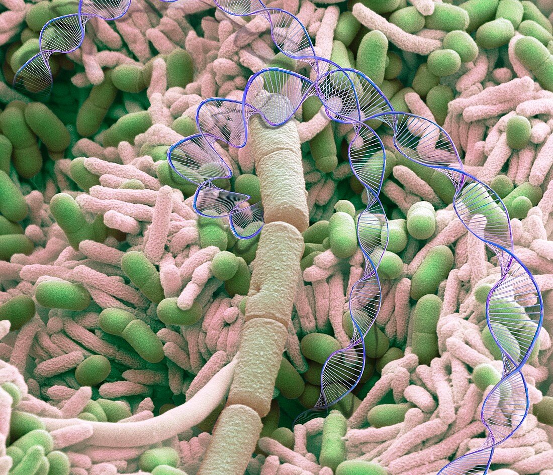 Antibiotic resistance, conceptual composite image