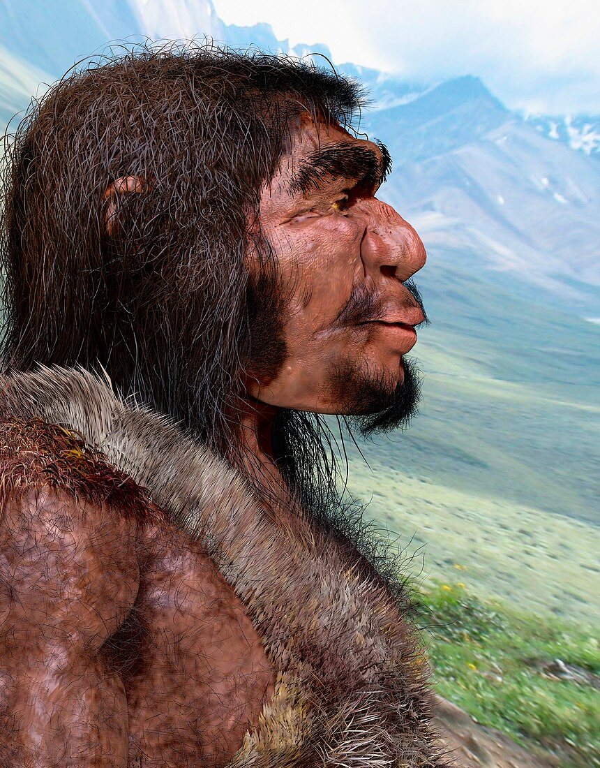 Homo heidelbergensis, illustration