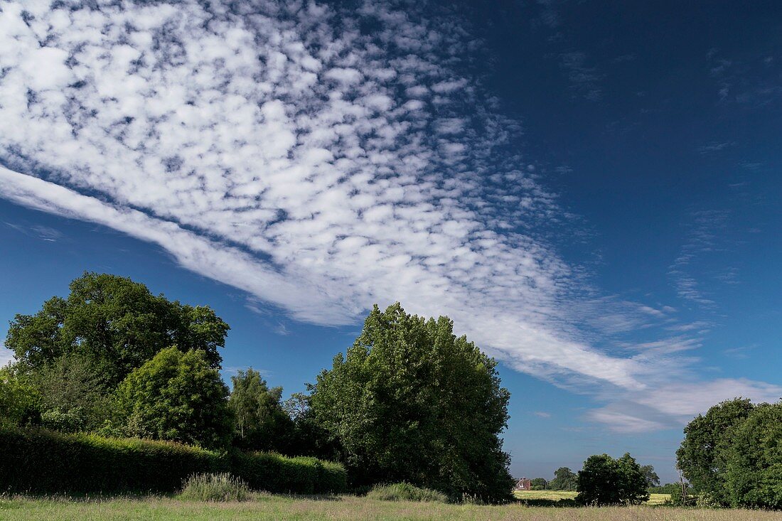Altocumulus stratiformis clouds over a rural scene
