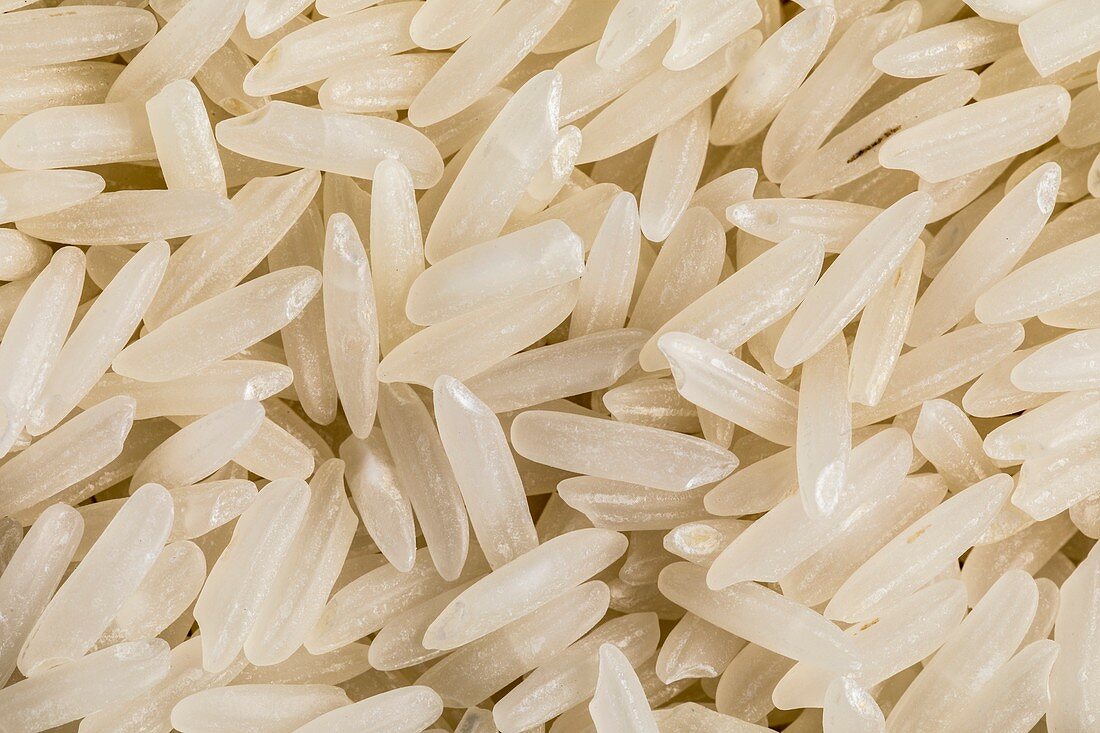 White long grained rice