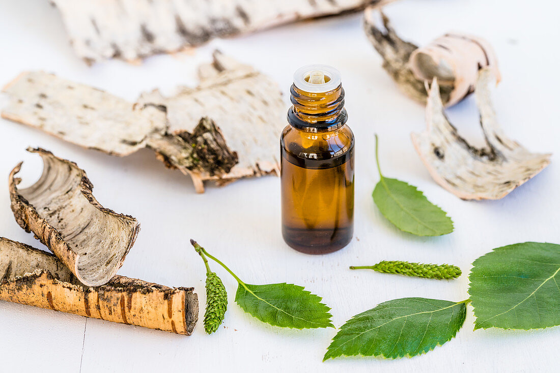 Birch essential oil