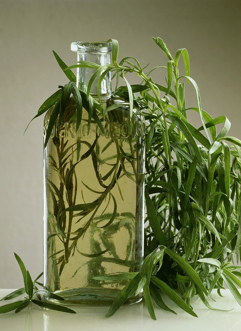 Bottle of tarragon vinegar and fresh tarragon