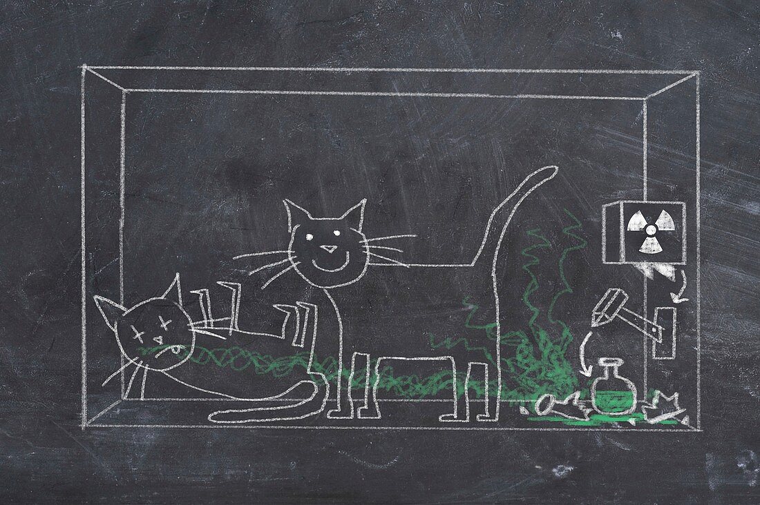Schrodinger's cat, illustration