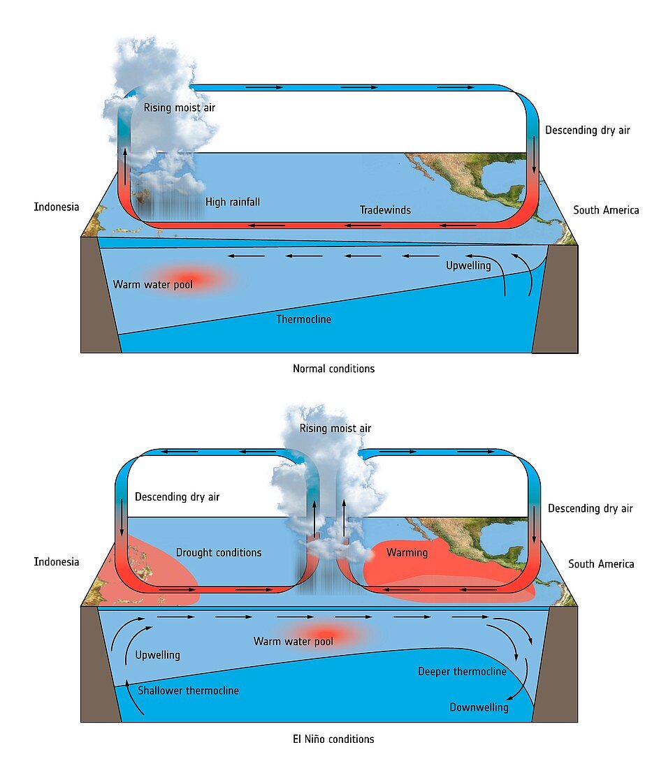 El Nino, illustration