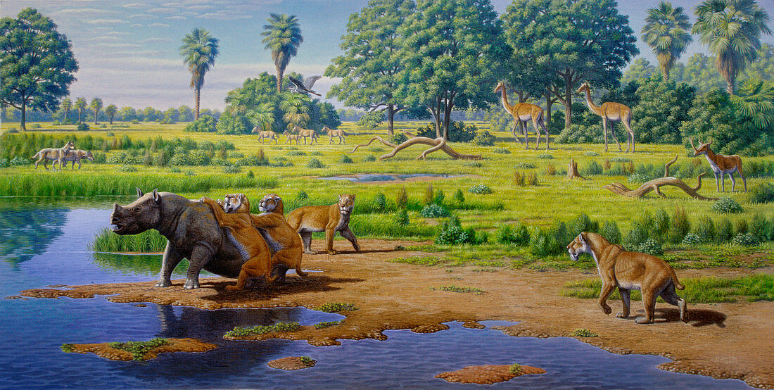Miocene of North America, illustration