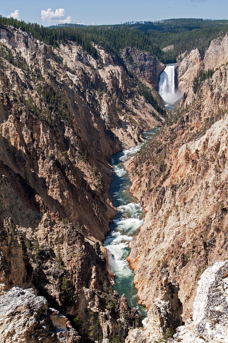 Lower Yellowstone Falls