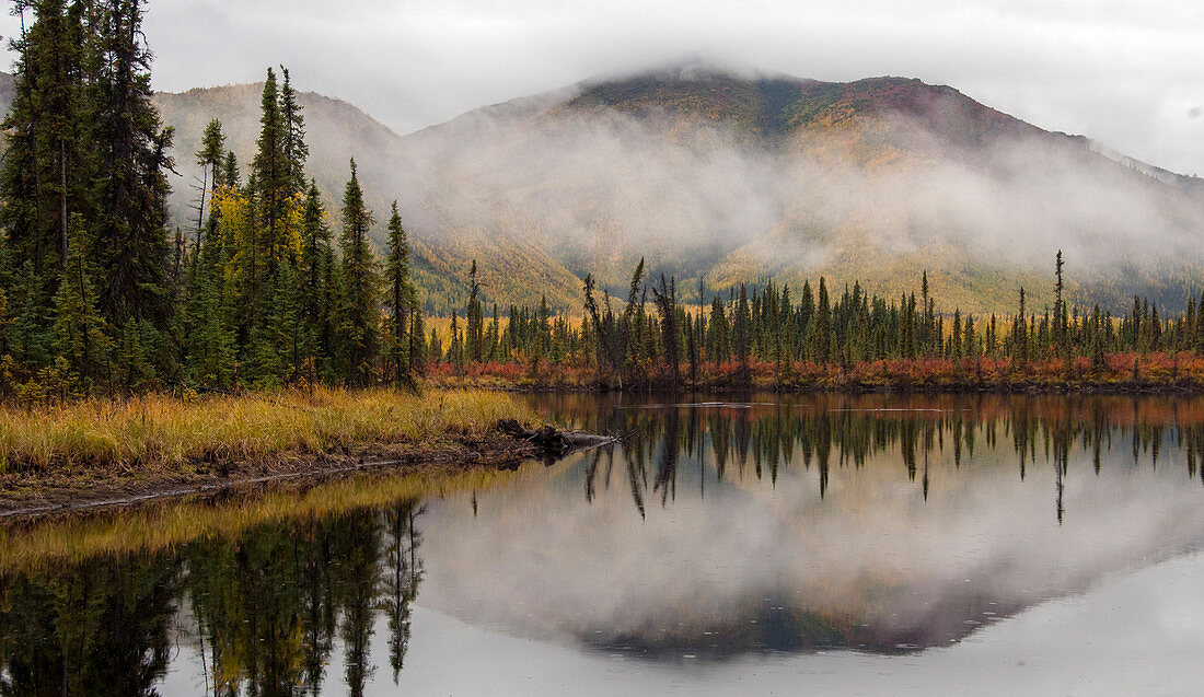 Autumn Scene, Alaska