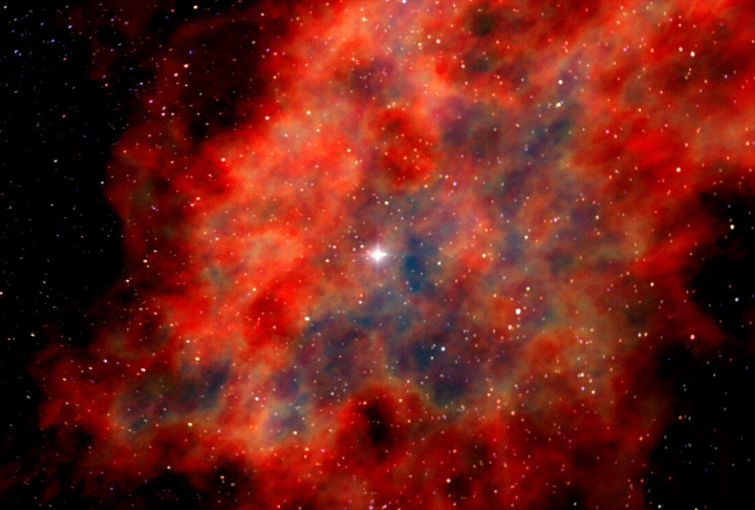Supernova remnant from a star collapse