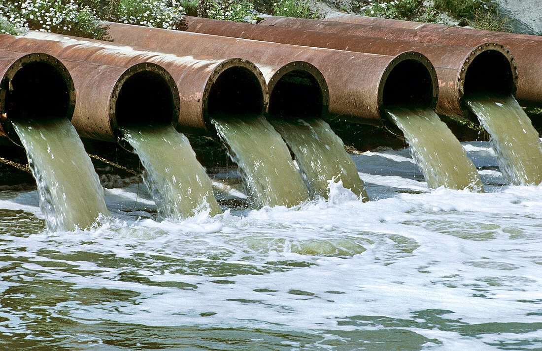 Polluted industrial effluent discharging to canal