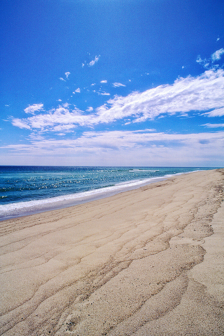 Beach, Cape Cod National Seashore, Massachusetts, USA