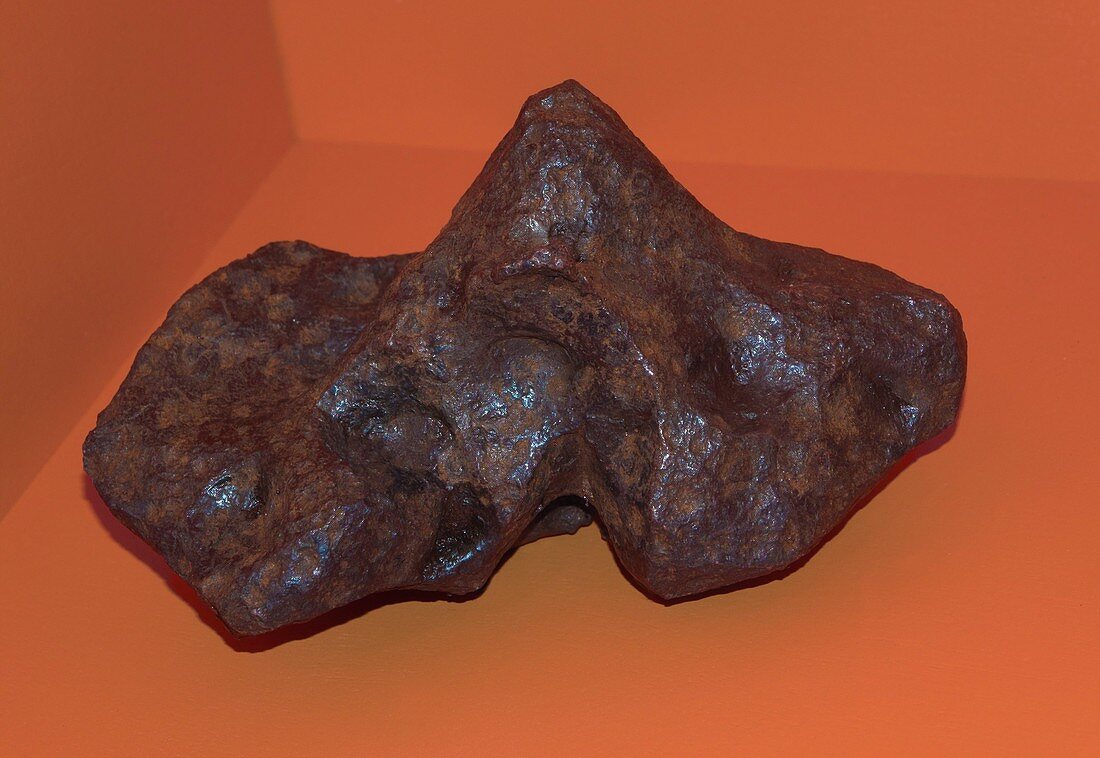 Meteorite, Campo del Cielo