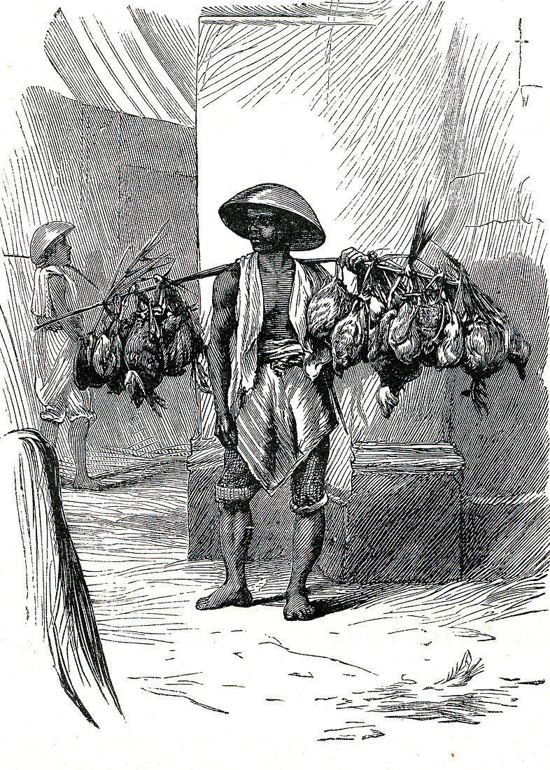 Poultry merchant in Java, 1860s