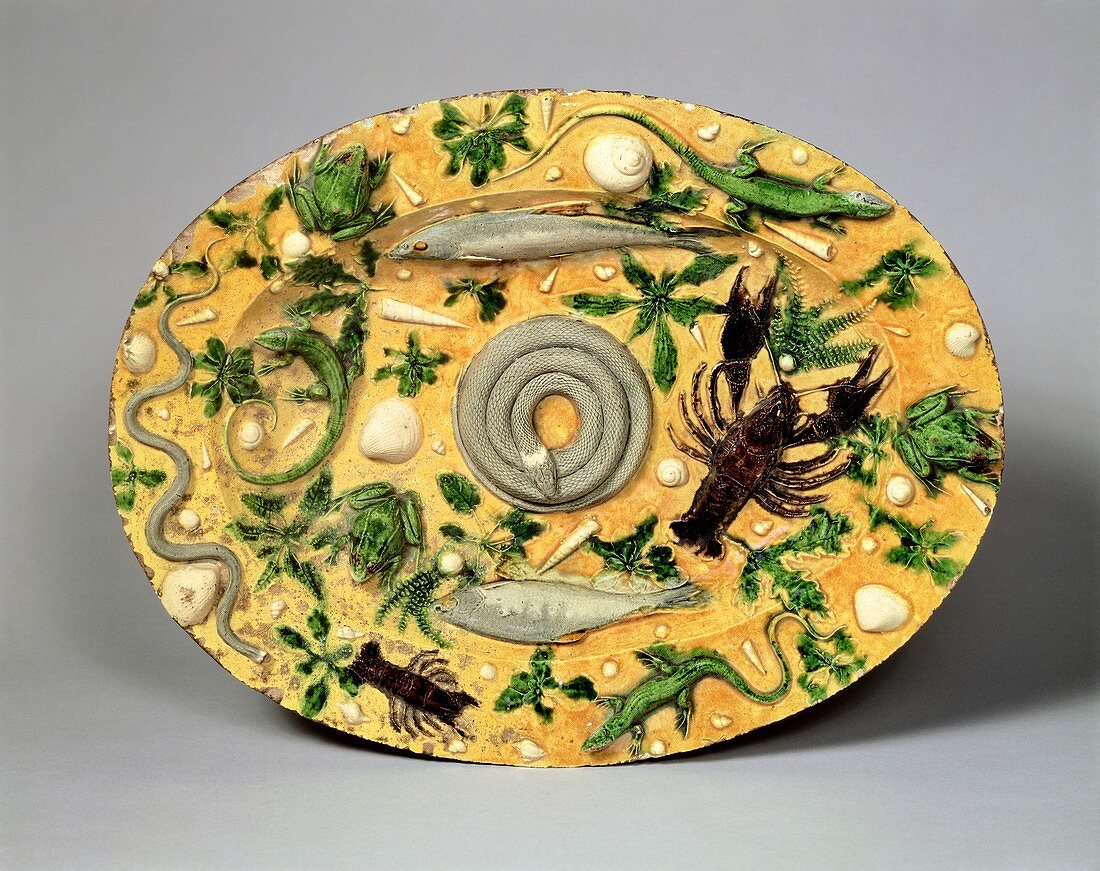 Ceramic dish by Bernard Palissy