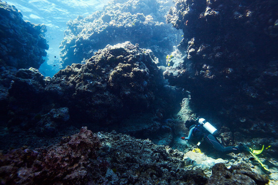 Scuba diver on the Great Barrier Reef