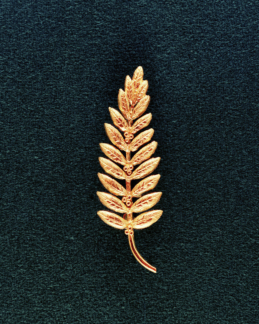 Apollo 11 olive branch peace symbol, 1969
