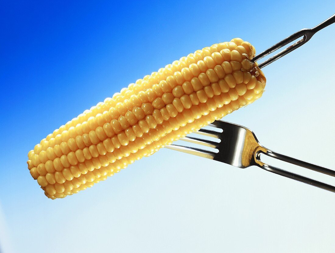 Two Forks Sticking into an Ear of Corn