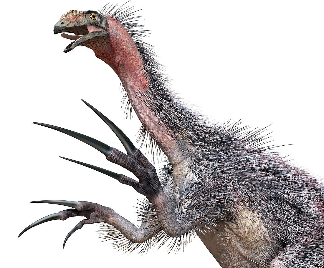Therizinosaurus, illustration