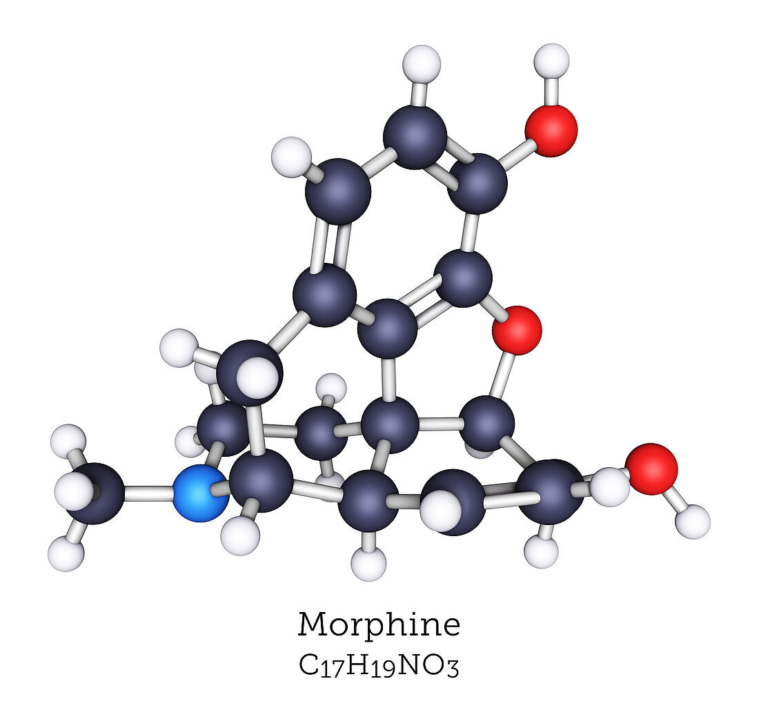 Morphine, molecular model
