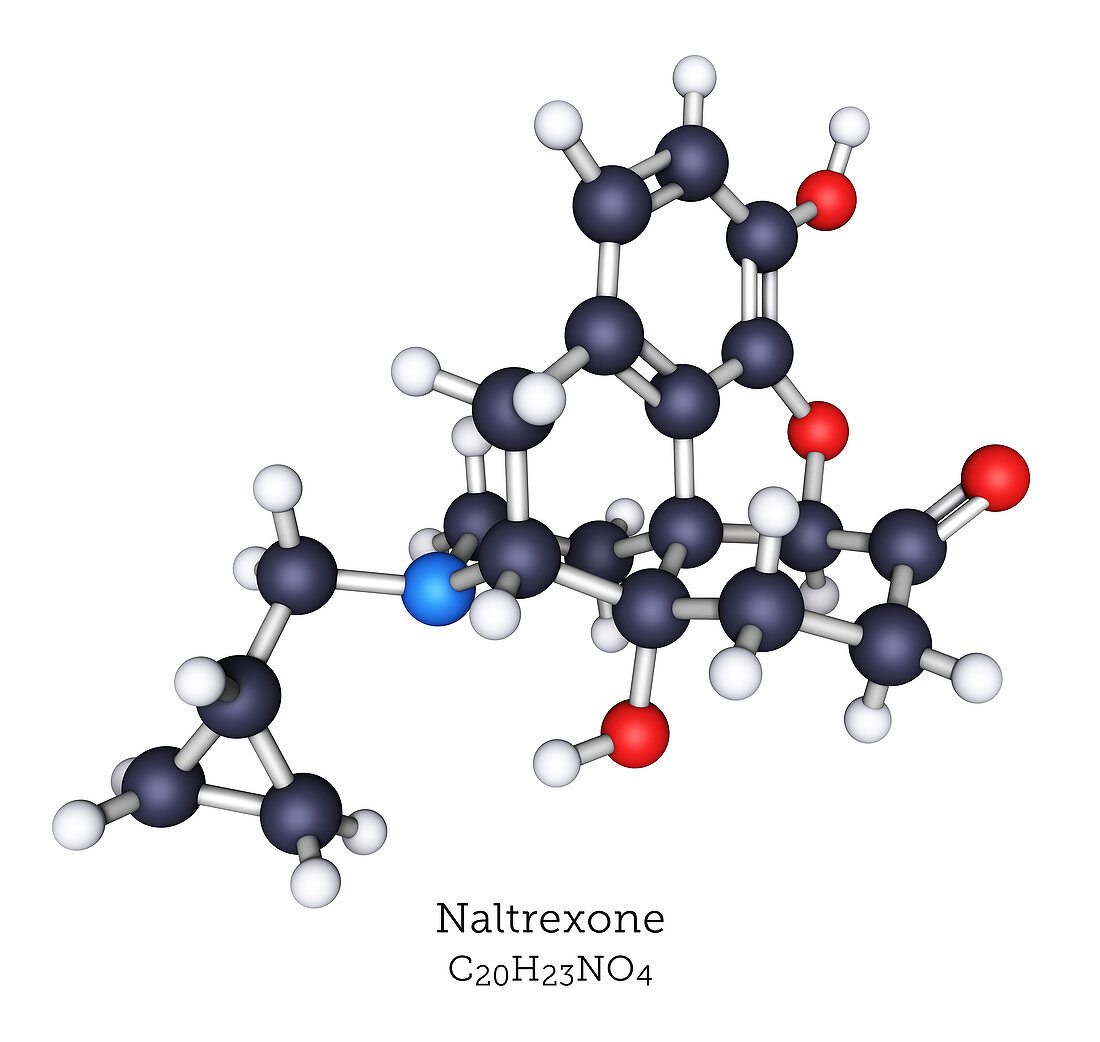 Naltrexone, molecular model