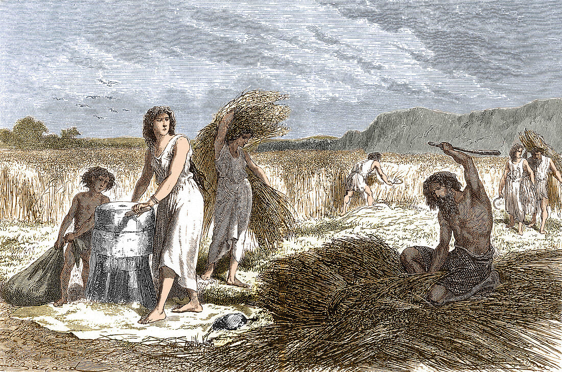 Prehistoric Man, Iron Age Farming