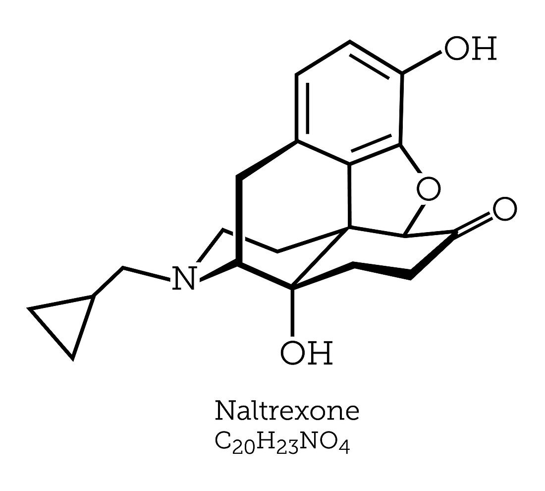 Naltrexone, molecular model