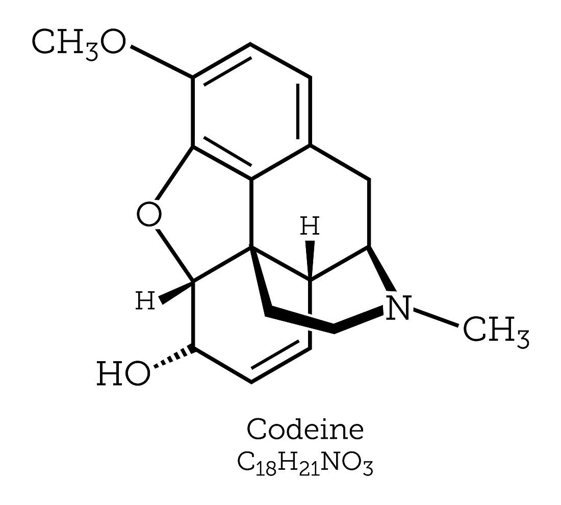 Molecular Structure of Codeine