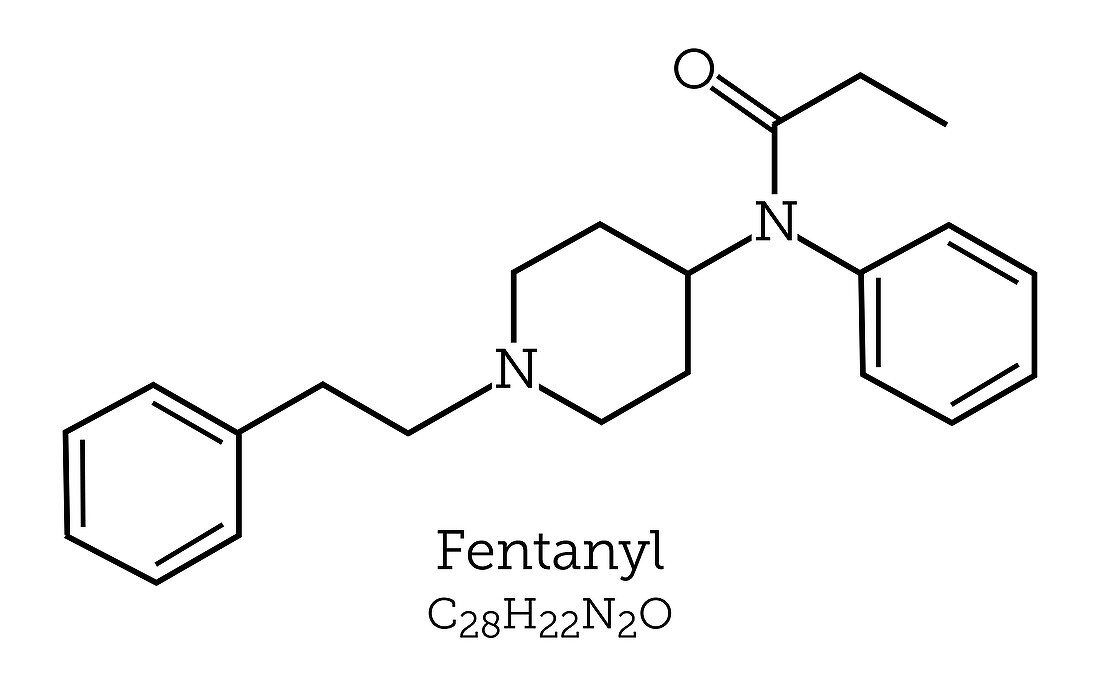 Molecular Structure of Fentanyl