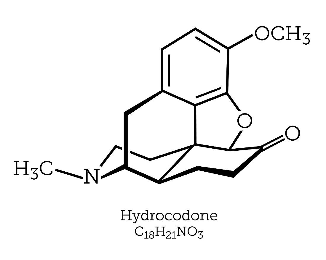 Molecular Structure of Hydrocodone