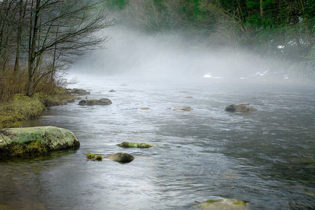 Fog on the Lehigh River