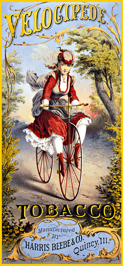 Woman Riding Velocipede, 1874