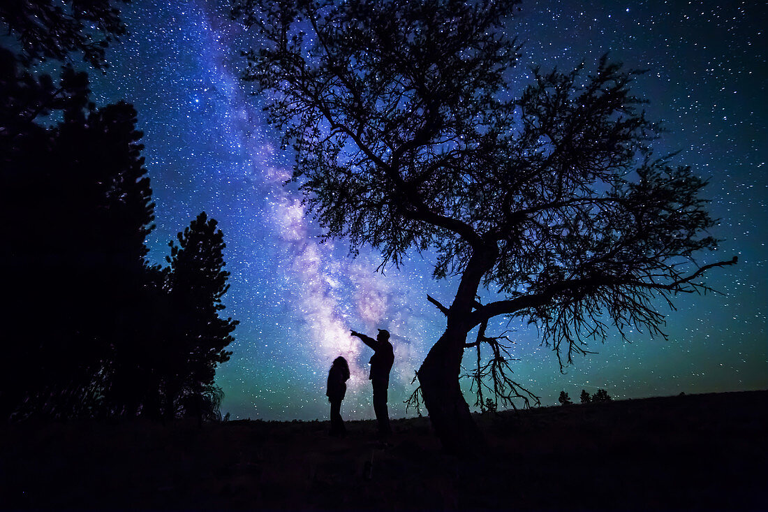 Man And Child with Tree and Milky Way