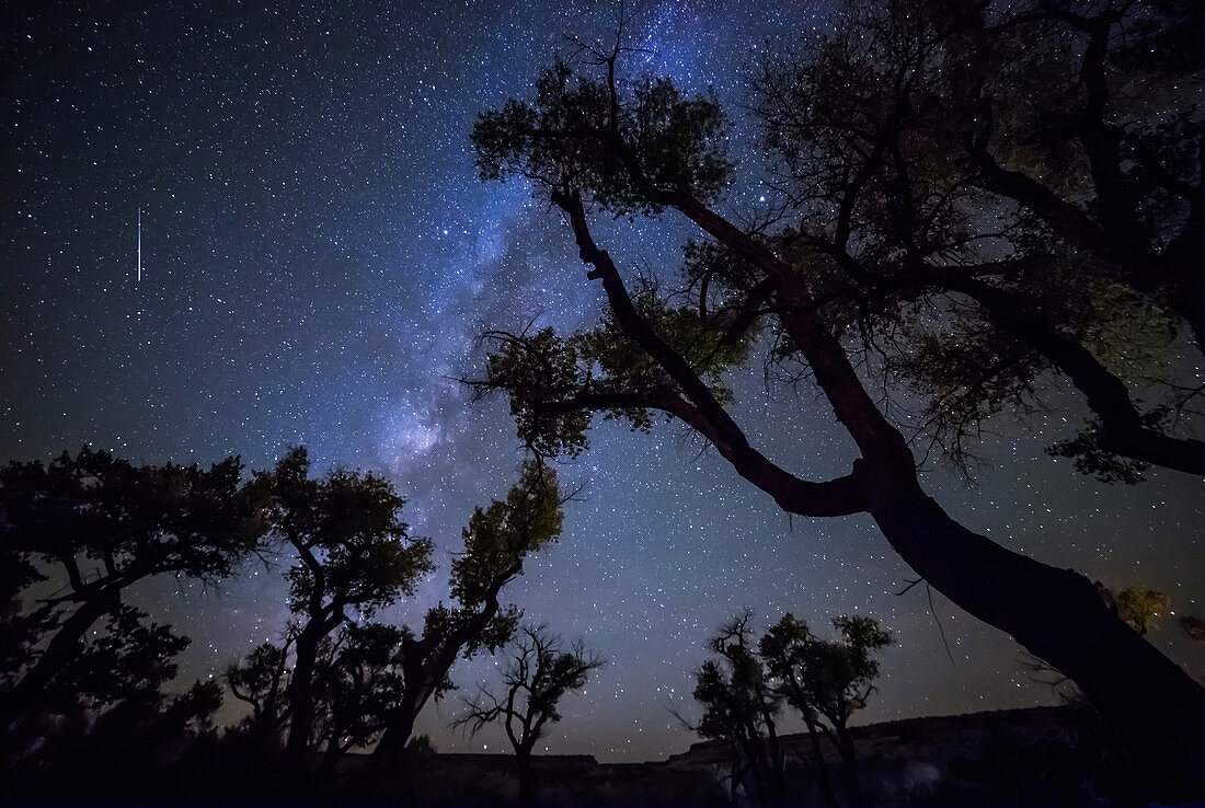 Meteor Milky Way and Cottonwoods UT