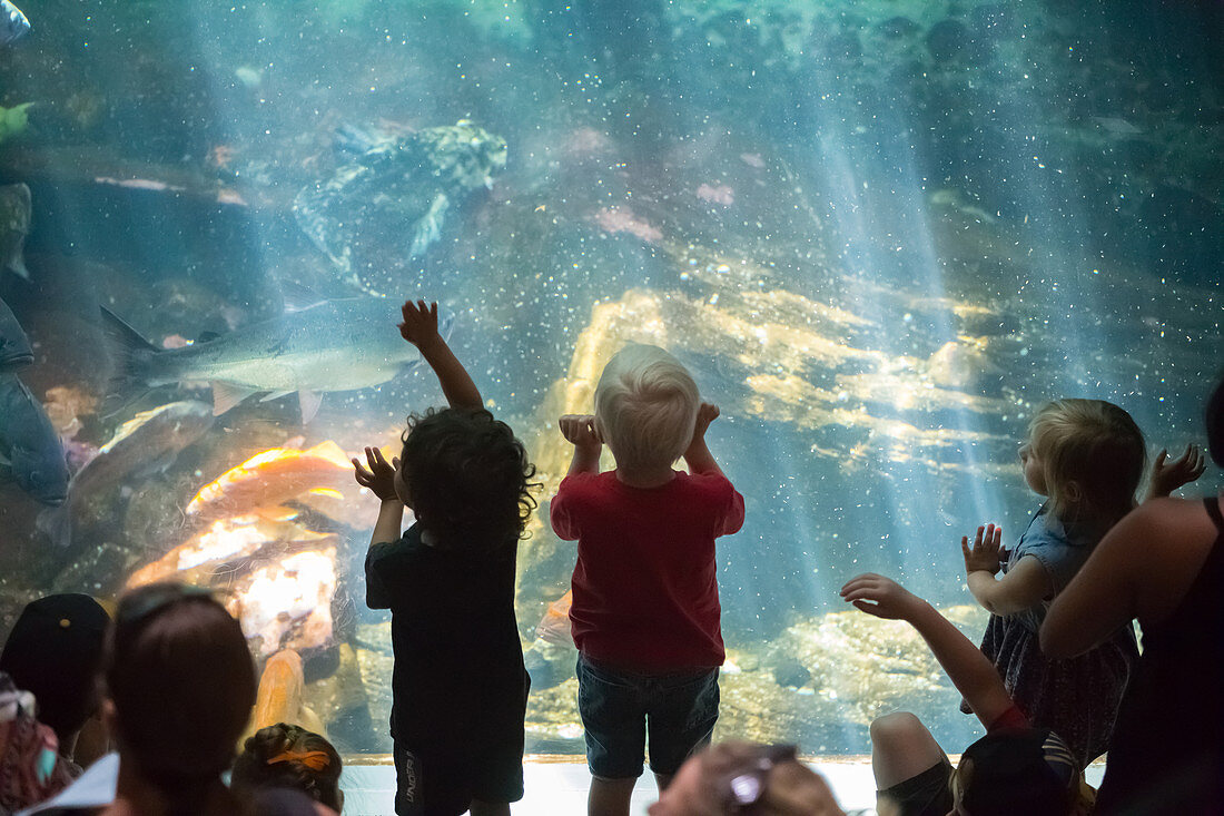 Children Visiting Aquarium