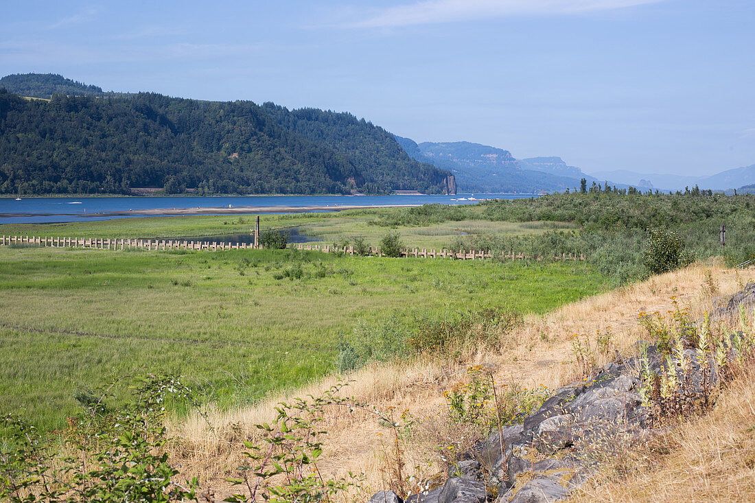Columbia River at Low Water, August
