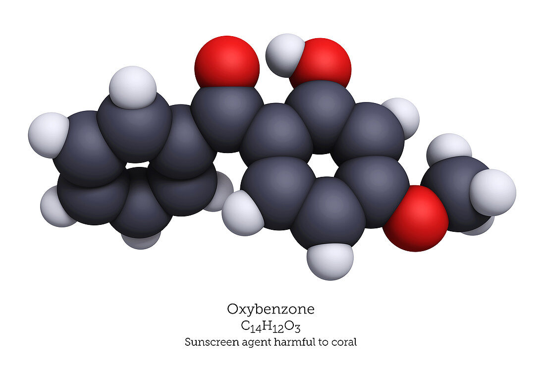 Space-Filling Model of Oxybenzone