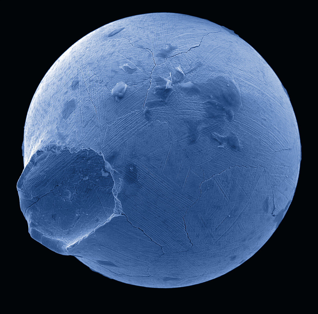 Micrometeorite Structure SEM