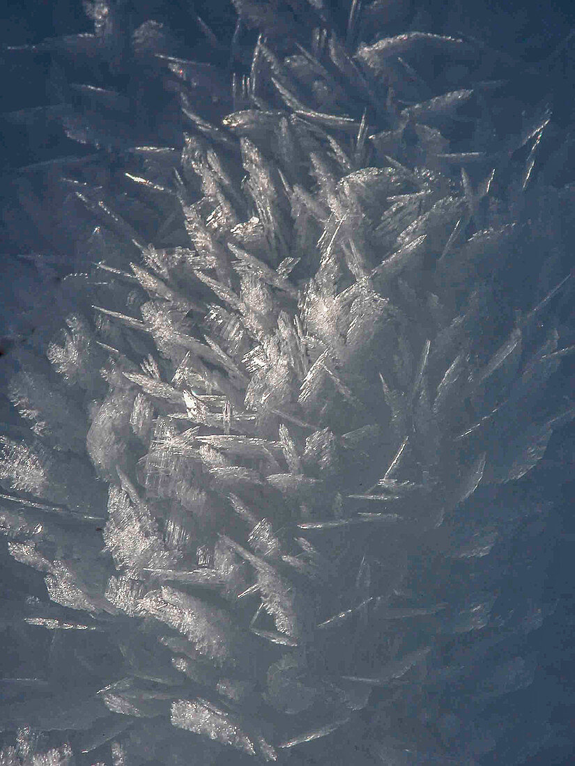 Frost Patterns