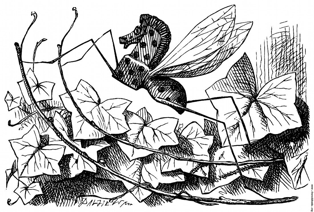 Through the Looking-Glass, Rocking-Horse-Fly
