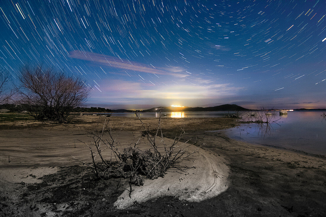 Star trails over lake shoreline, time-exposure image