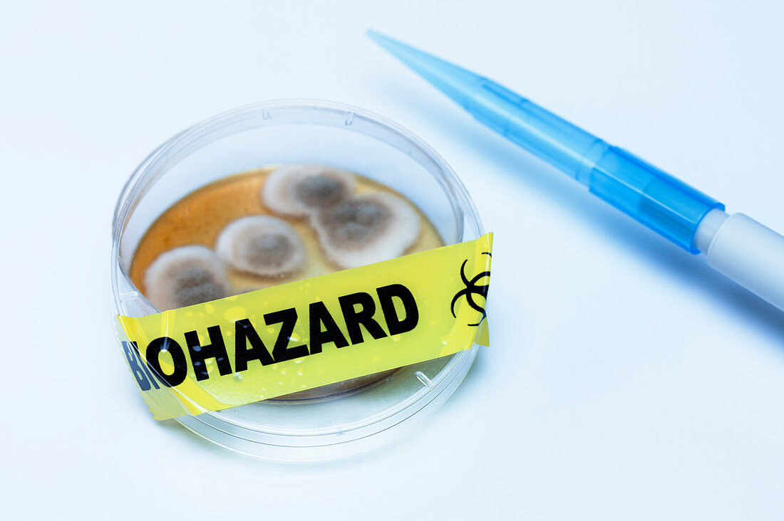 Biohazard tape on a Petri dish